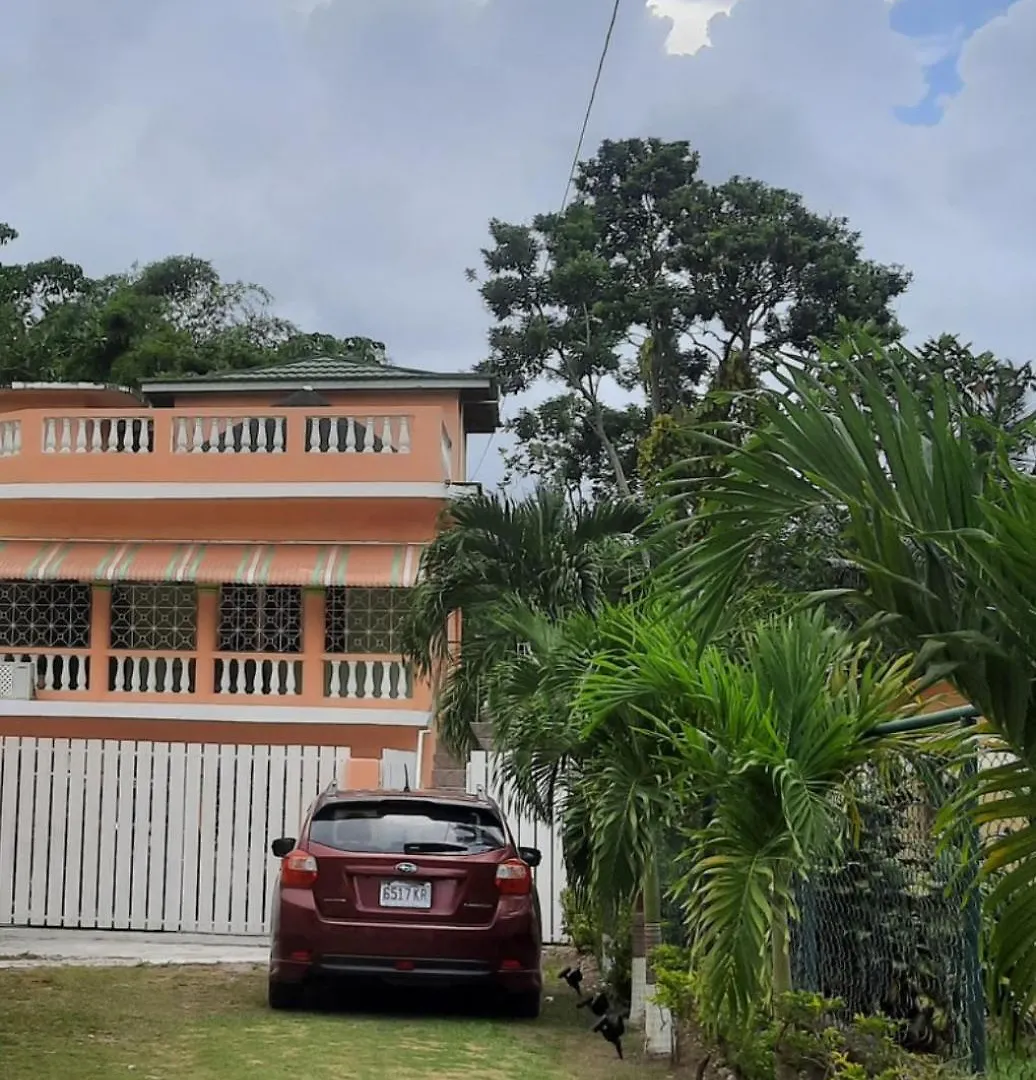 The New Mount Pleasant Ja Apartment Pennycooke 0*,  Jamaica